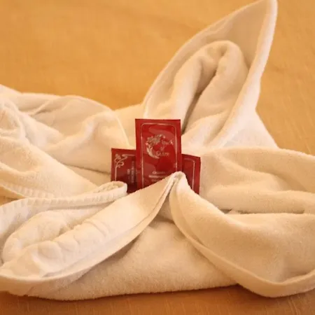 Goyesco Plaza Guest house